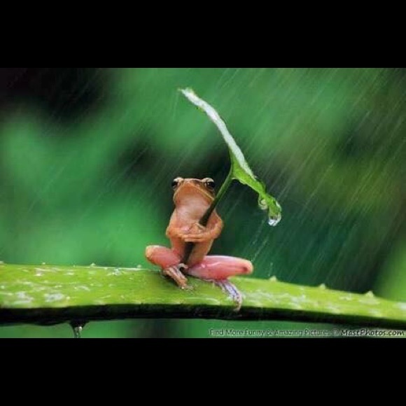 Meet your Posher, Anh - Picture 1 of 1